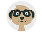 Meerkat