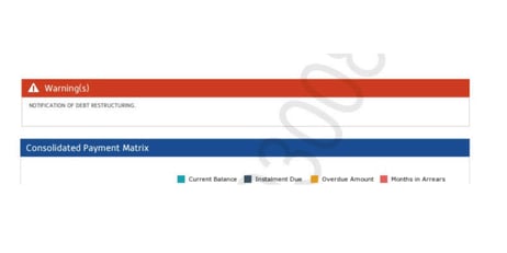 debt review flag