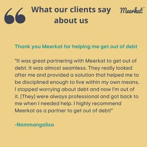 Meerkat review for debt counselling