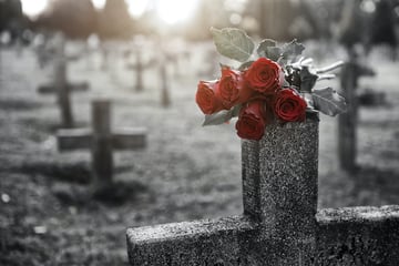 Looking for affordable funeral cover?